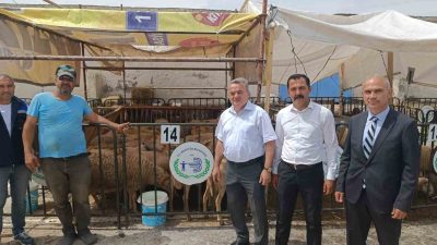 BOZÜYÜK’TE KURBAN SATIŞ VE KESİM YERLERİ DENETLENDİ