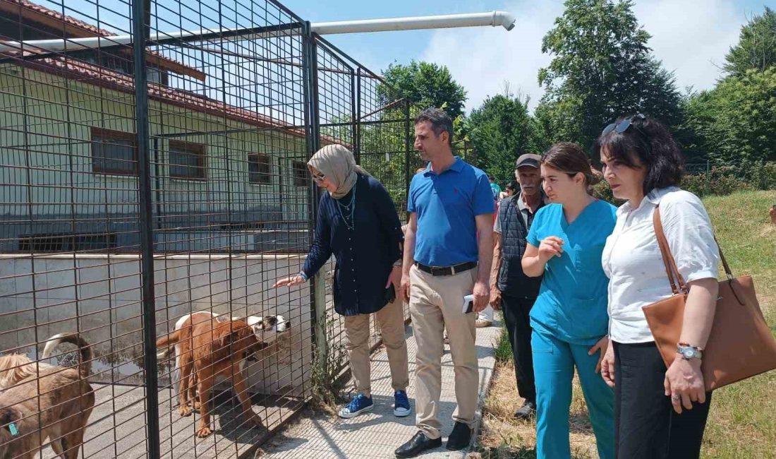 DÜZCE BELEDİYESİ HAYVAN KONUKEVİ’Nİ