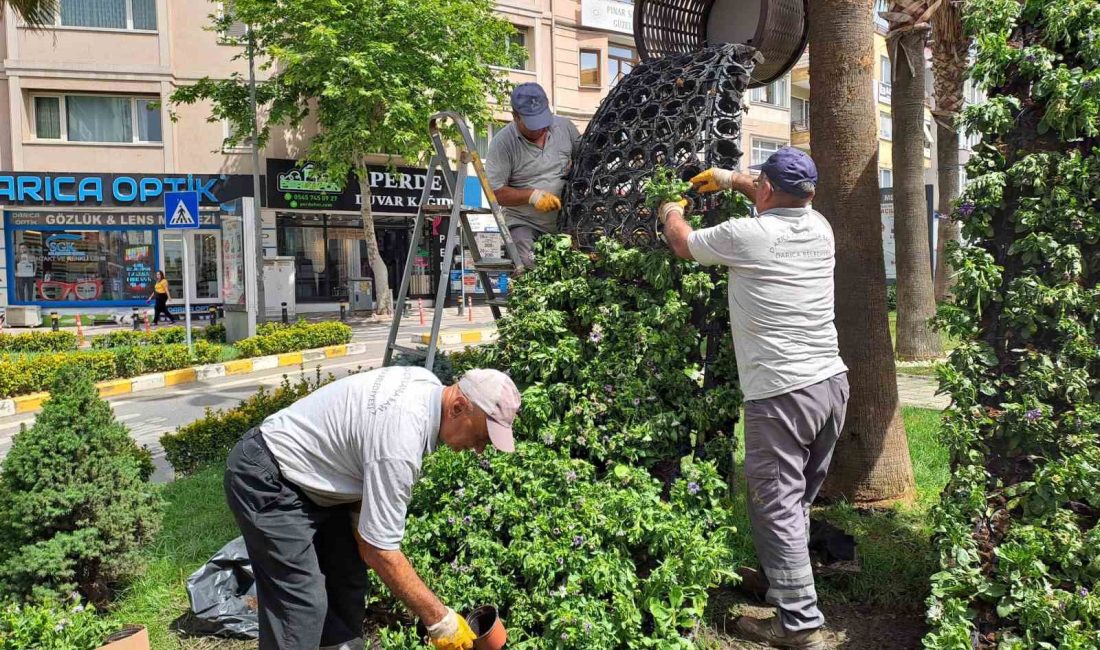 DARICA BELEDİYESİ, VATANDAŞLARIN HUZURLU