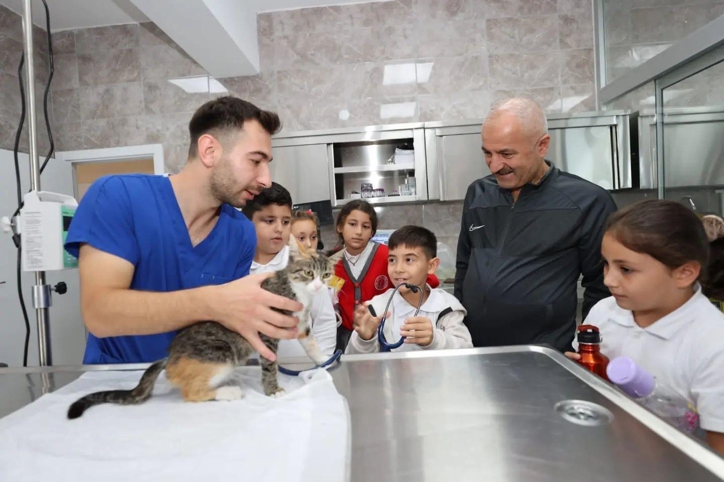 GEBZE BELEDİYESİ’NİN PELİTLİ’DE HİZMETE AÇTIĞI SOKAK HAYVANLARI BAKIM VE REHABİLİTASYON