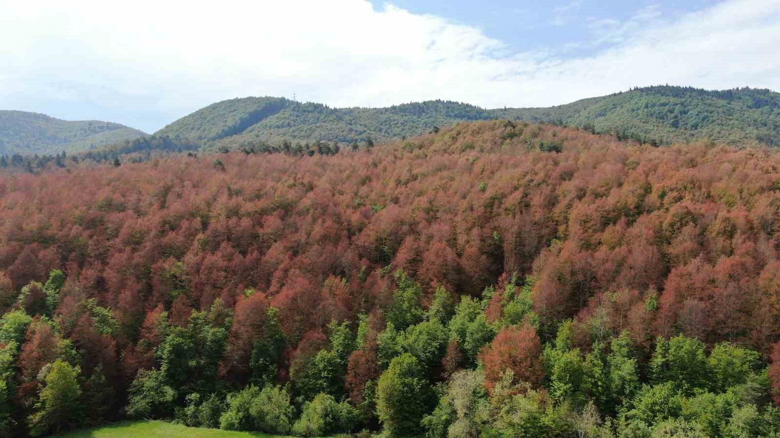 AVRUPA’NIN KORUNAN ALANLAR AĞI’NA (PAN PARKS NETWORK) TÜRKİYE'DEN KABUL EDİLEN