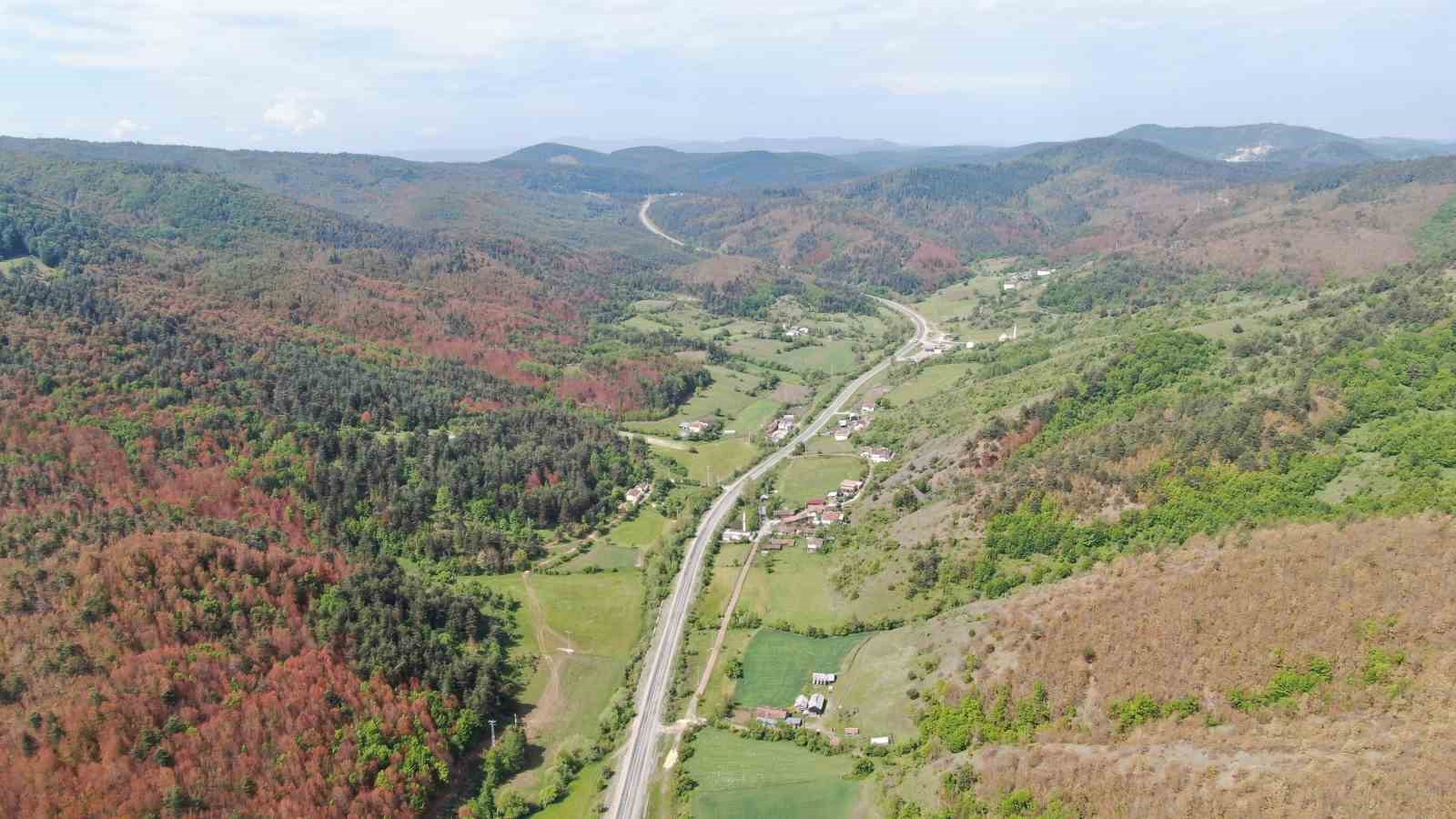 KASTAMONU ORMAN BÖLGE MÜDÜRÜ FAHRİ SÖNMEZOĞLU, 12 MAYIS GECESİ HAVA