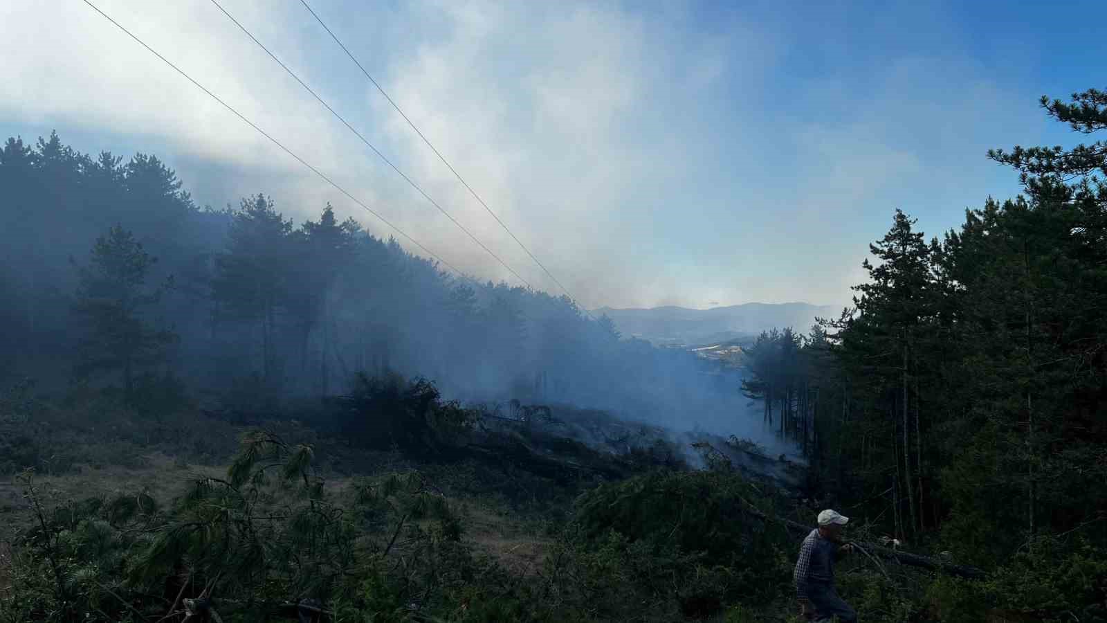 KASTAMONU’NUN TAŞKÖPRÜ İLÇESİNDE YÜKSEK GERİLİM HATTINDAN KAYNAKLANAN YANGIN SEBEBİYLE 2