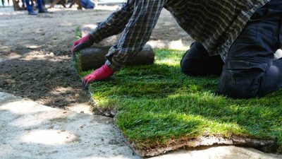 DÜZCE BELEDİYESİ BÜNYESİNDE BULUNAN KENT PARK'TA YENİLEME ÇALIŞMALARINDA SONA GELİNDİ.
