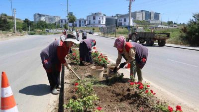 DÜZCE BELEDİYESİ KONURALP BÖLGESİNDE ÇİÇEKLENDİRME ÇALIŞMALARINA BAŞLADI.