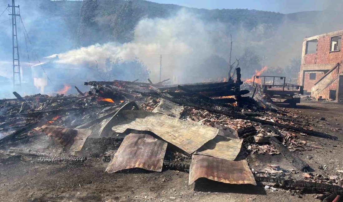 KASTAMONU'NUN ARAÇ İLÇESİNDE BİR KÖYDE ÇIKAN YANGINDA 10 EV ALEVLERE