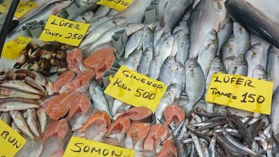 DÜZCE'DE KURBAN BAYRAMI ÖNCESİNDE BALIK TEZGAHLARINDA HAMSİ KİLOSU 200, BARBUN