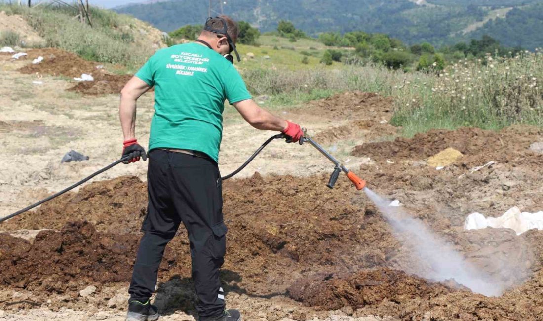 KOCAELİ'DE KURBAN BAYRAMI ÖNCESİNDE