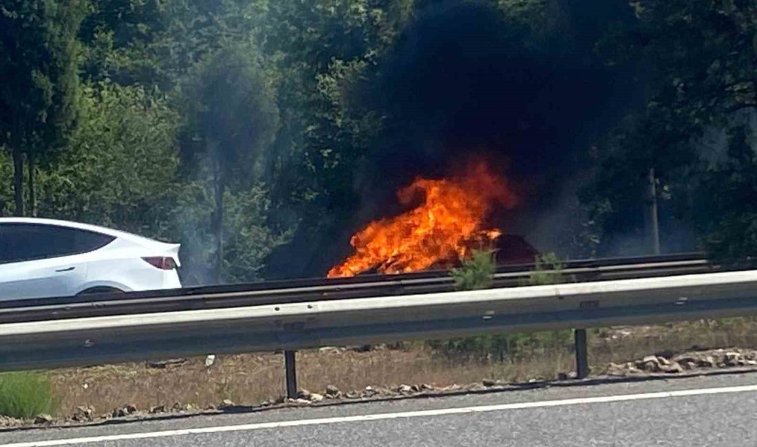 ANADOLU OTOYOLU SAKARYA GEÇİŞİNDE