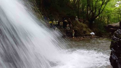 DOĞA TUTKUNLARI TARAFINDAN TESADÜFEN BULUNAN VE DÜZCE BELEDİYESİ VE MİLLİ