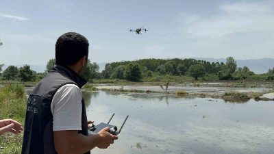 ÇİFTÇİNİN GÜNLERCE BÜYÜK EMEKLERLE TÜKETİME HAZIRLADIĞI SİYAH PİRİNÇ, ARTIK DRON