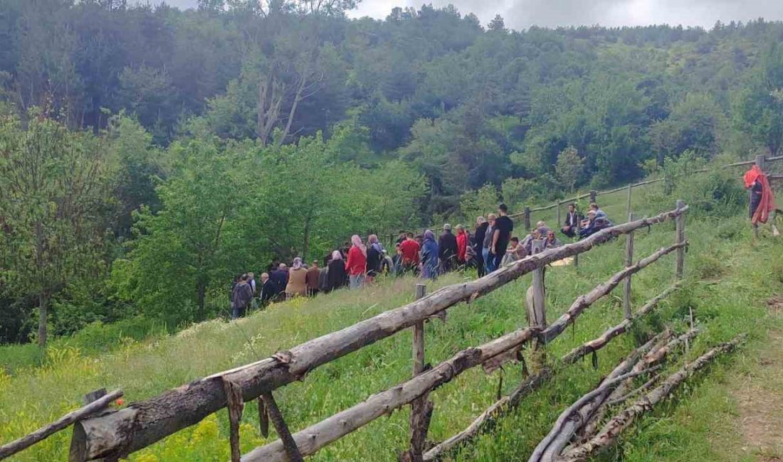 KASTAMONU’NUN KÜRE İLÇESİNDE TARLA