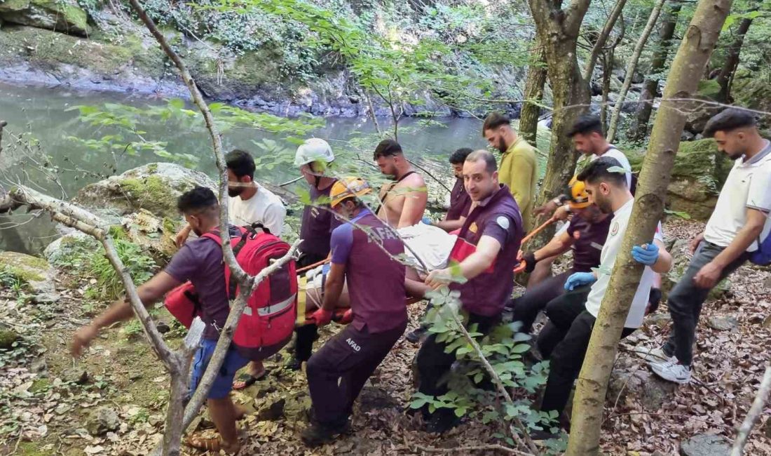 YALOVA’NIN ÇINARCIK İLÇESİNE BAĞLI