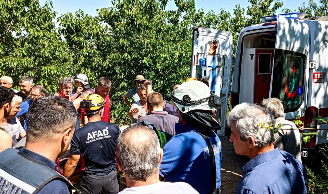 YALOVA’DA ÇİFTLİKKÖY İLÇESİNDE ORMANLIK