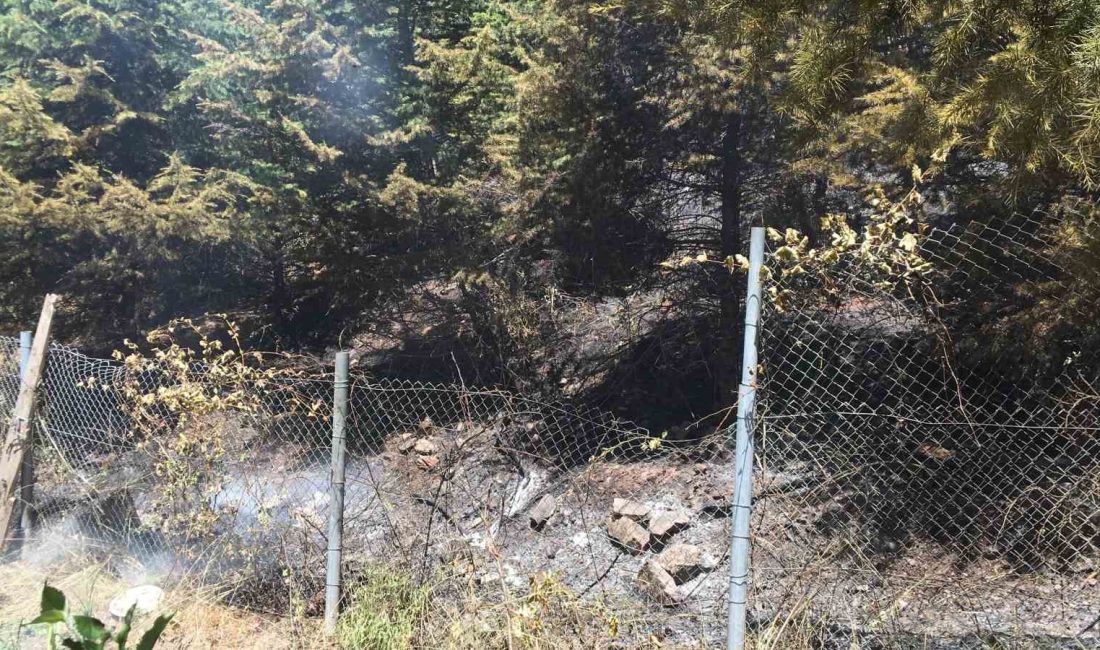 KOCAELİ'NİN KÖRFEZ İLÇESİNDE ÇIKAN YANGIN SEBEBİYLE PANİKLEYEN VATANDAŞLAR SOKAĞA DÖKÜLÜRKEN,