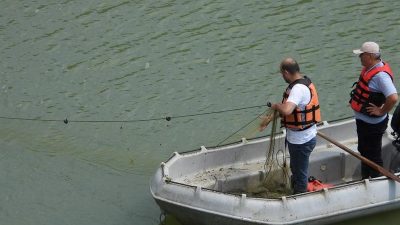 DÜZCE TARIM VE ORMAN MÜDÜRLÜĞÜ BALIKÇILIK VE SU ÜRÜNLERİ ŞUBE