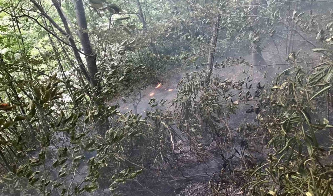 KASTAMONU’NUN İNEBOLU İLÇESİNDE YILDIRIM DÜŞMESİ SONUCU ORMANLIK ALANDA ÇIKAN YANGIN,