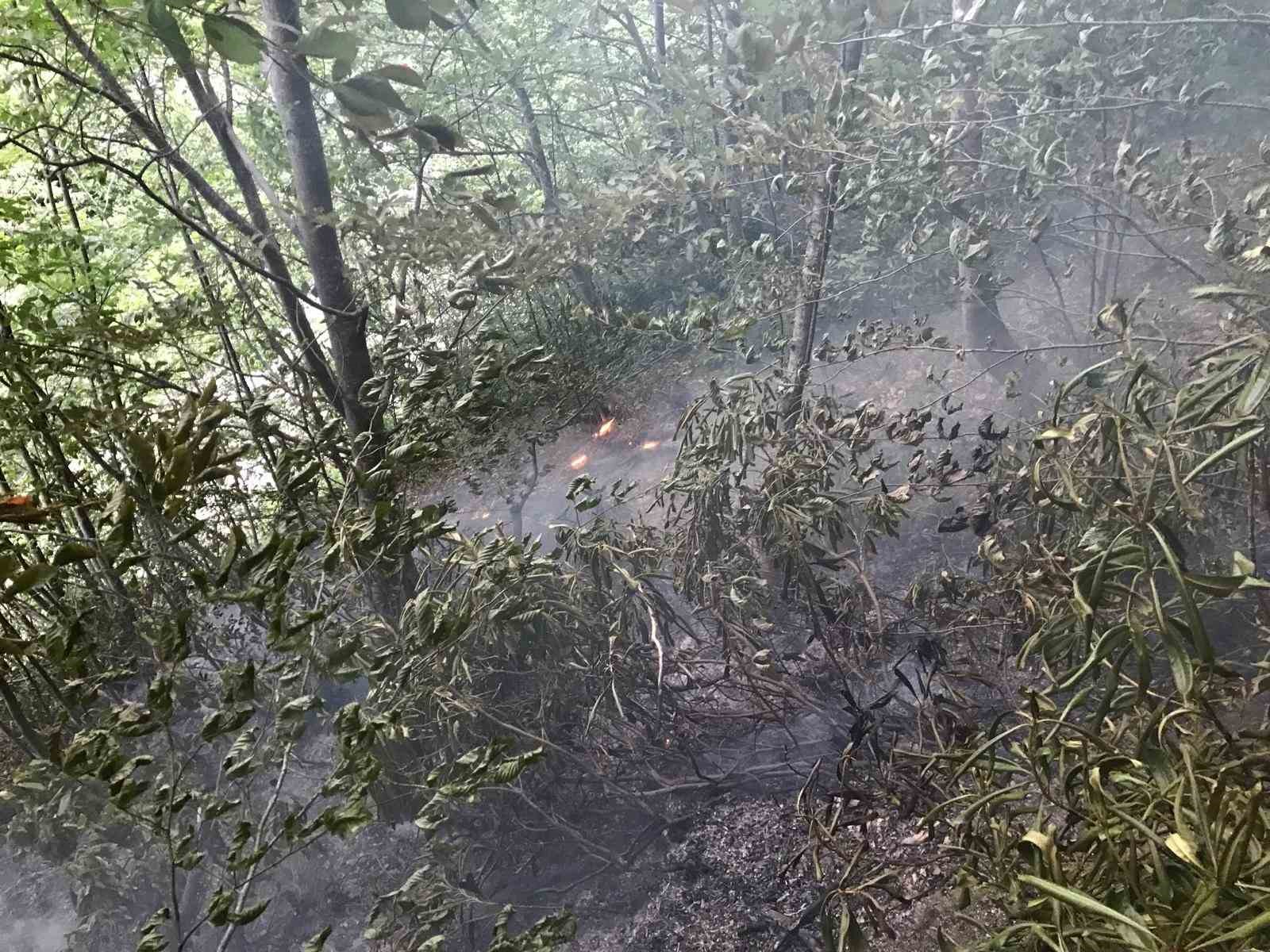 KASTAMONU’NUN İNEBOLU İLÇESİNDE YILDIRIM DÜŞMESİ SONUCU ORMANLIK ALANDA ÇIKAN YANGIN,