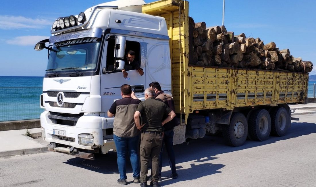 DÜZCE’NİN AKÇAKOCA İLÇESİNDE ORMAN