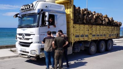 DÜZCE’NİN AKÇAKOCA İLÇESİNDE ORMAN İŞLETME MÜDÜRLÜĞÜNDE GÖREVLİ İŞLETME ŞEFLİKLERİ TARAFINDAN