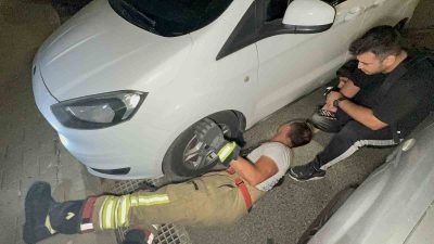 DÜZCE’DE ARACIN KAPUTUNA GİREN KEDİ, İTFAİYE EKİPLERİNCE KURTARILMAK İSTENDİĞİ ESNADA