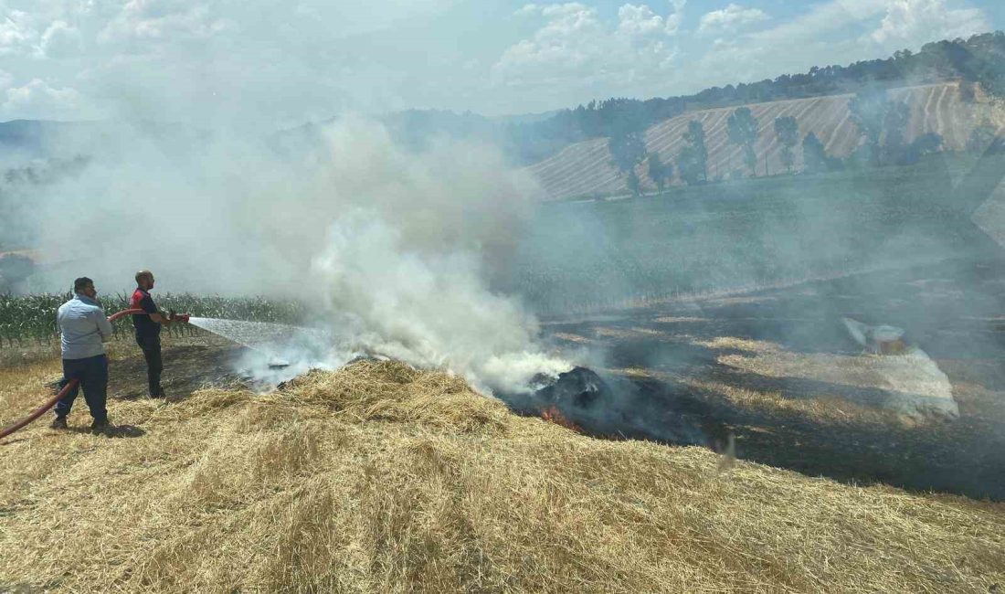 BOLU’DA BALYA YAPILAN ARPA