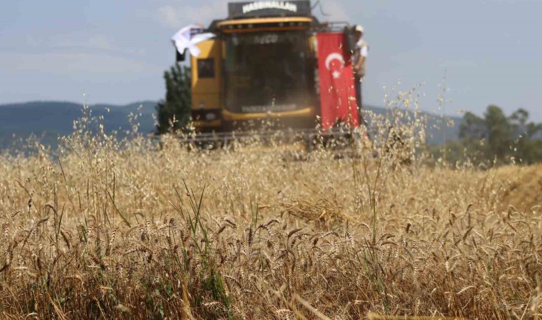 BOLU’NUN YENİÇAĞA İLÇESİNDE DÖNÜMÜNDEN