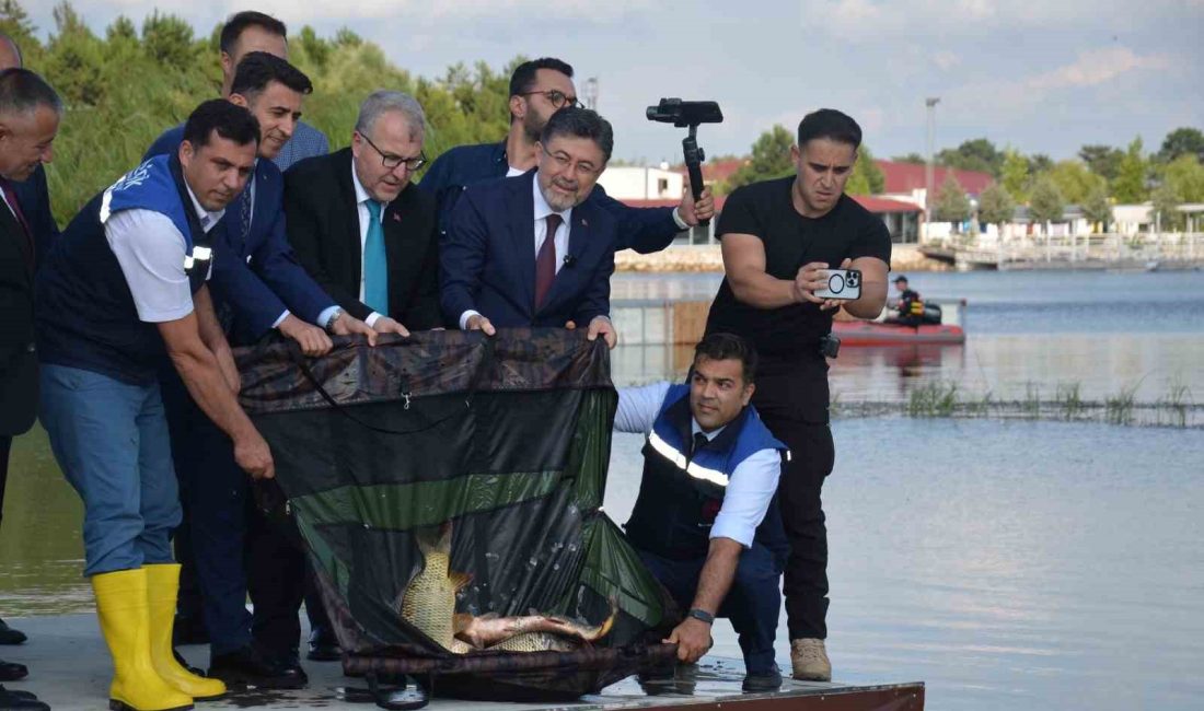 BAKAN YUMAKLI, PELİTÖZÜ GÖLEDİNE