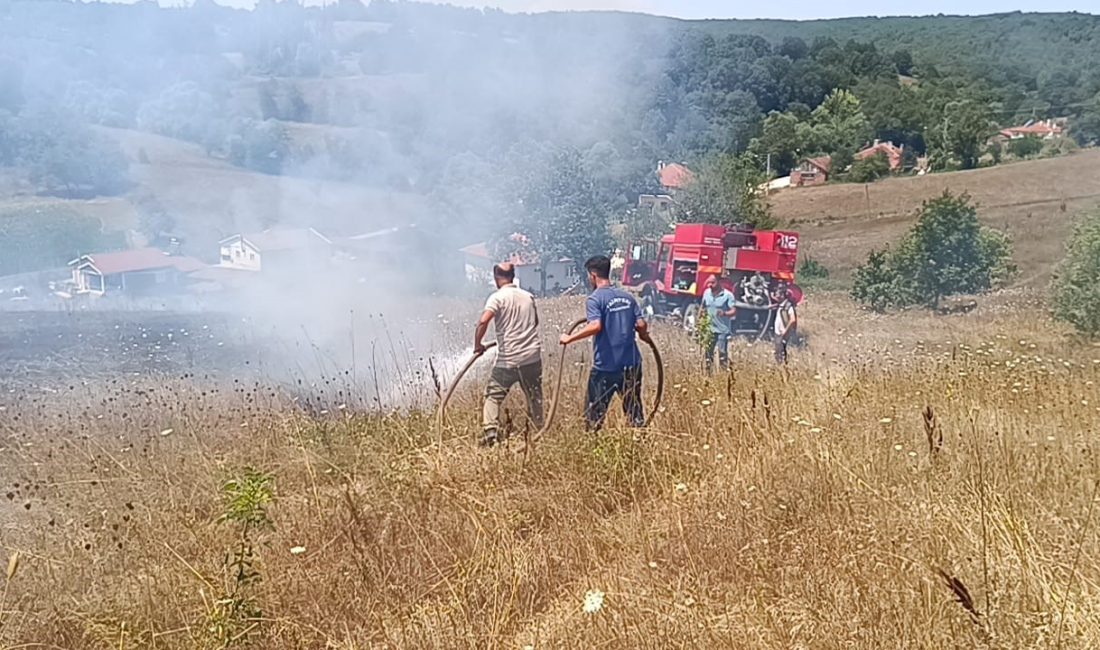 BİLECİK'TE ÇIKAN OT YANGININDA