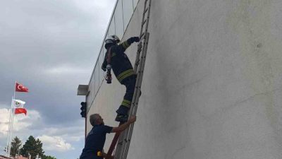 BOLU BELEDİYESİ İTFAİYE MÜDÜRLÜĞÜ EKİPLERİ, KAPALI VE DUMANLI ORTAMDA İLERLEME