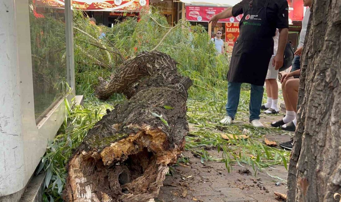 BOLU’DA VALİLİK KONAĞI’NIN YAN