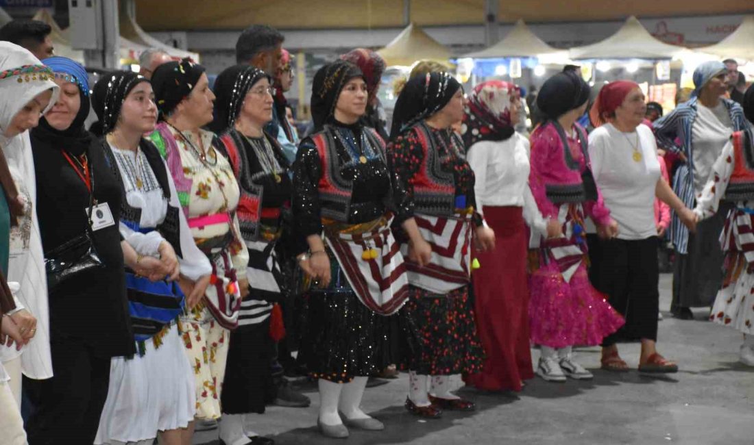 SAKARYA'NIN HENDEK İLÇESİNDE BU