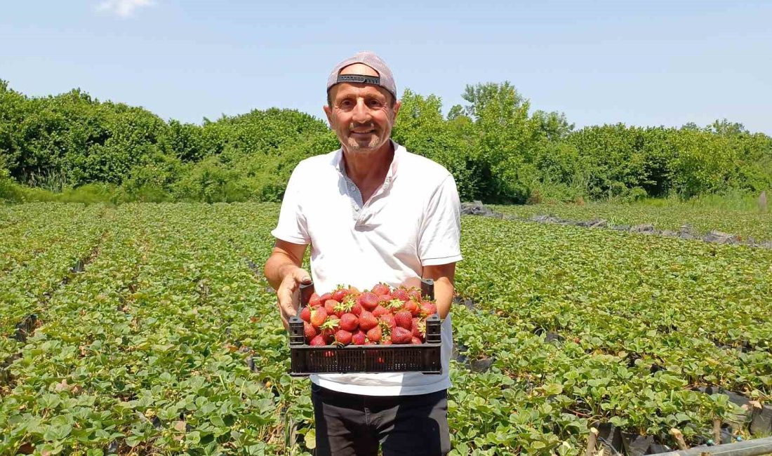 YILLARCA DÜNYANIN ÖNDE GELEN