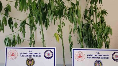 ÇİLİMLİ İLÇE EMNİYET AMİRLİĞİ EKİPLERİ UYUŞTURUCU İLE MÜCADELEYE BÜTÜN HIZIYLA