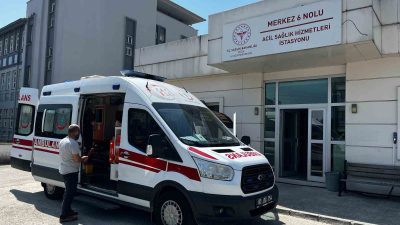 DÜZCE SAĞLIK MÜDÜRLÜĞÜNE BAĞLI ACİL SAĞLIK HİZMETLERİNİN GÜVENLİĞİNİ VE KALİTESİNİ