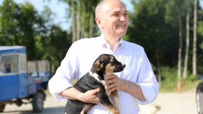 DÜZCE BELEDİYE BAŞKANI DR. FARUK ÖZLÜ ÖNCÜLÜĞÜNDE, SAHİPSİZ SOKAK HAYVANLARININ