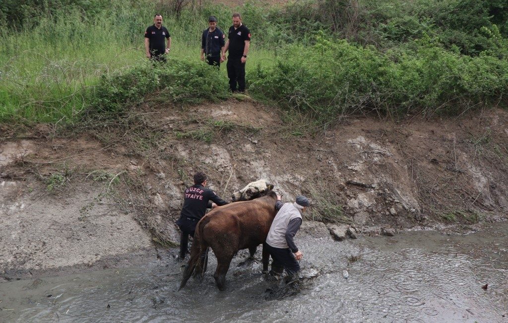 DÜZCE BELEDİYESİ İTFAİYE MÜDÜRLÜĞÜ,