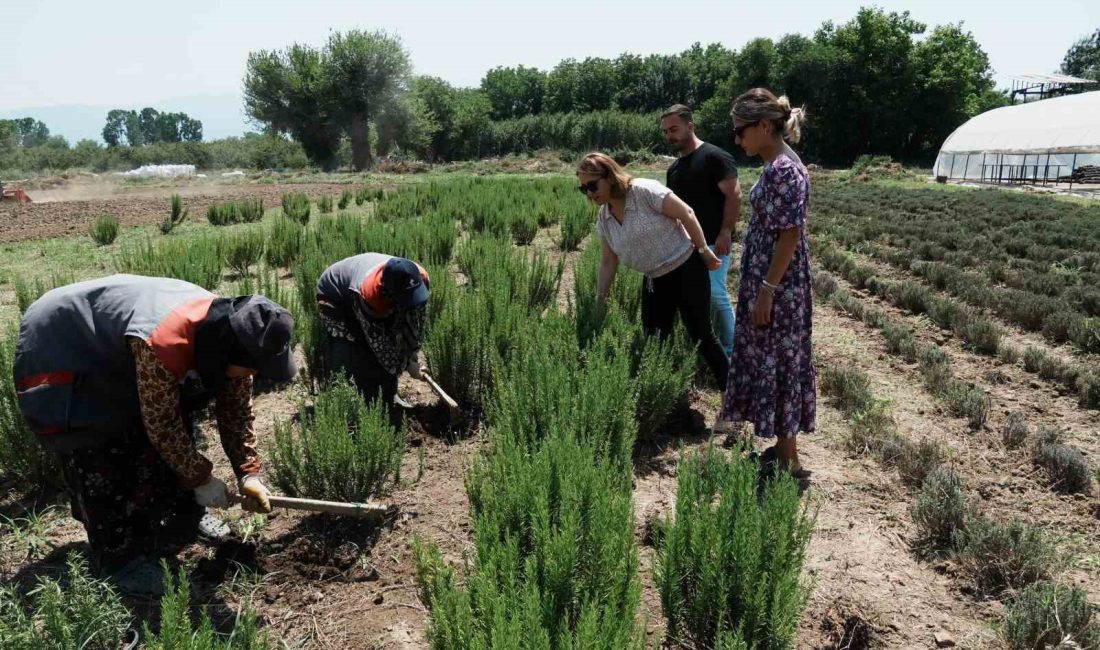 DÜZCE’DE TARIMSAL ÜRETİM FAALİYETLERİNİN