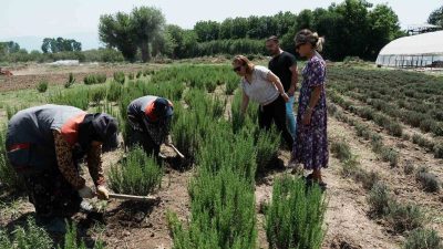DÜZCE’DE TARIMSAL ÜRETİM FAALİYETLERİNİN GELİŞMESİNİ SAĞLAMAK ÜZERE TÜM İMKANLARINI SEFERBER