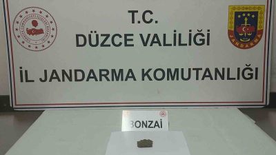 ÜZCE’DE JANDARMA EKİPLERİ TARAFINDAN YAPILAN ÇALIŞMALARDA 71 GRAM BONZAİ, 4