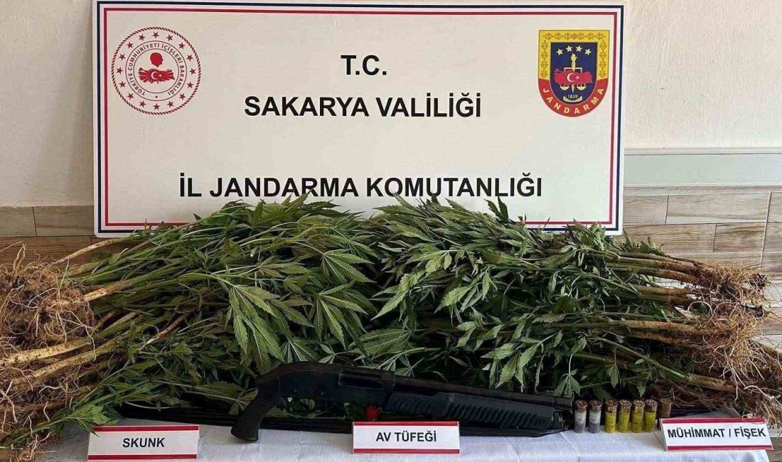 SAKARYA’DA JANDARMA EKİPLERİNCE UYUŞTURUCU