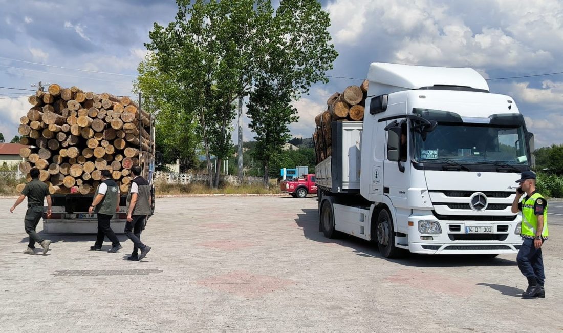 BOLU’DA MUDURNU ORMAN İŞLETME