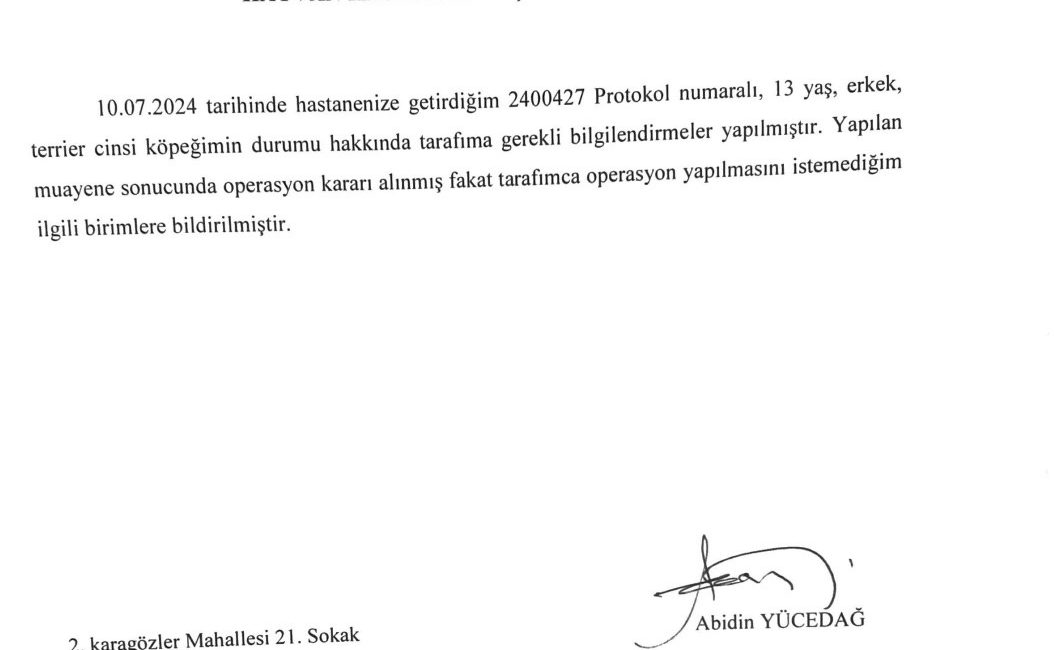 KASTAMONU'DA BİR VATANDAŞIN, KÖPEĞİNİN KASTAMONU ÜNİVERSİTESİ HAYVAN HASTANESİ'NE GÖTÜRDÜĞÜ KÖPEĞİNE