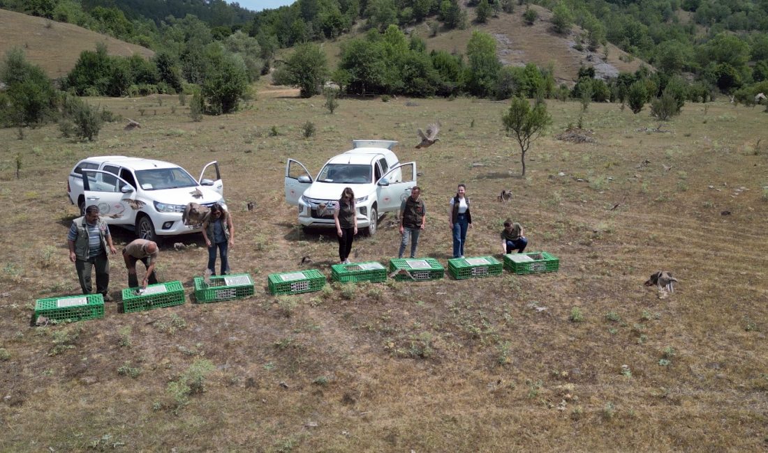 DOĞA KORUMA VE MİLLİ PARKLAR (DKMP) 10. MÜDÜRLÜĞÜ KASTAMONU İL