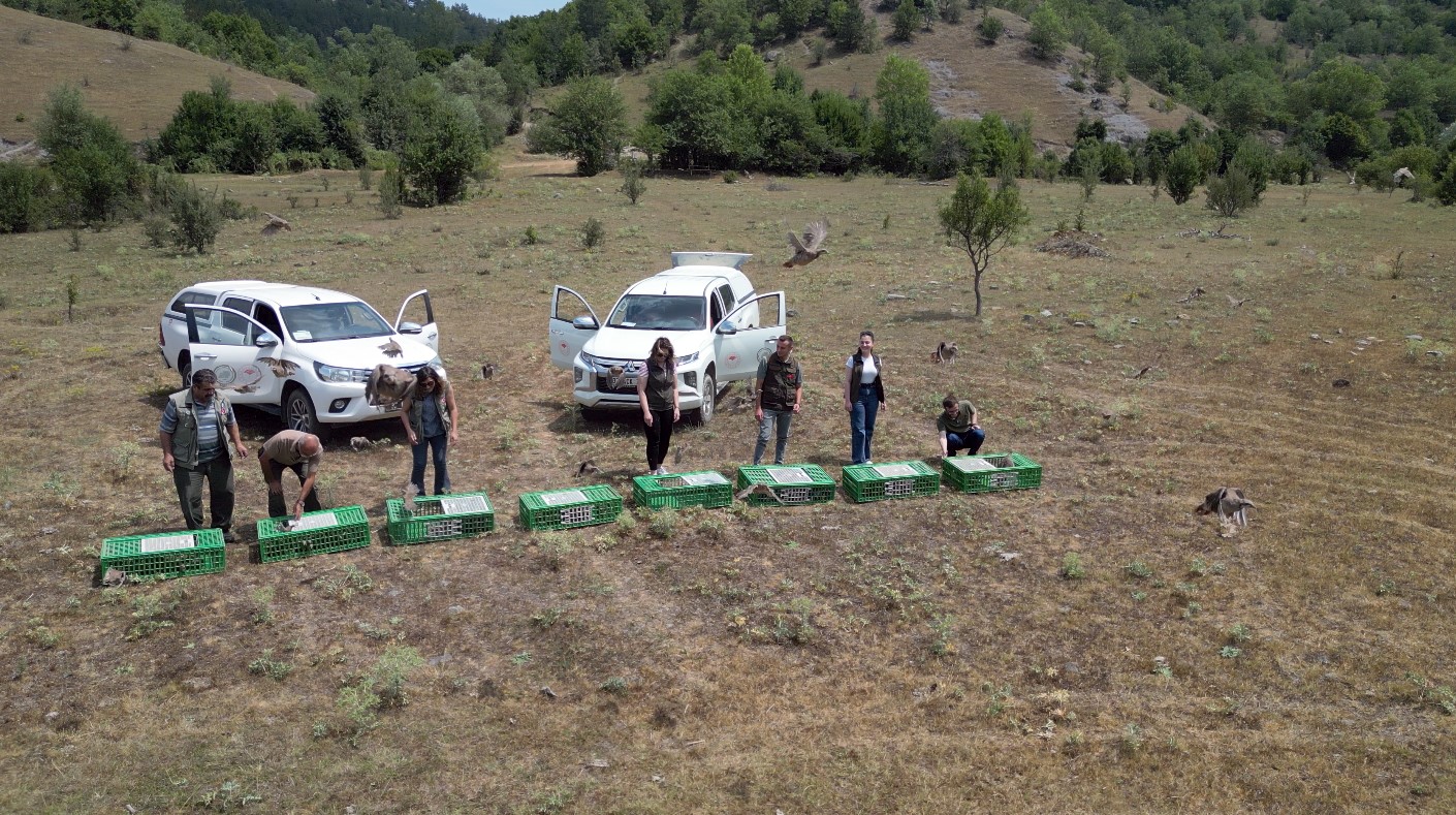 DOĞA KORUMA VE MİLLİ PARKLAR (DKMP) 10. MÜDÜRLÜĞÜ KASTAMONU İL