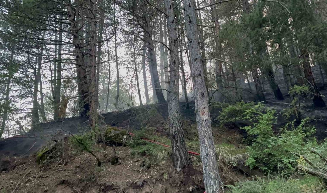 KASTAMONU’NUN İHSANGAZİ İLÇESİNDE YILDIRIM DÜŞMESİ SONUCU ÇIKAN ORMAN YANGINA MÜDAHALE