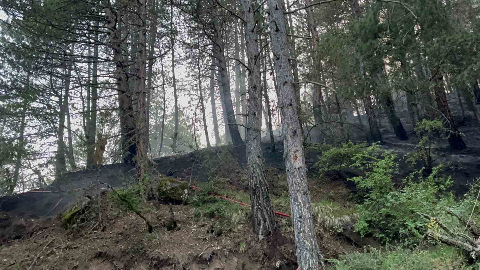 KASTAMONU’NUN İHSANGAZİ İLÇESİNDE YILDIRIM DÜŞMESİ SONUCU ÇIKAN ORMAN YANGINA MÜDAHALE