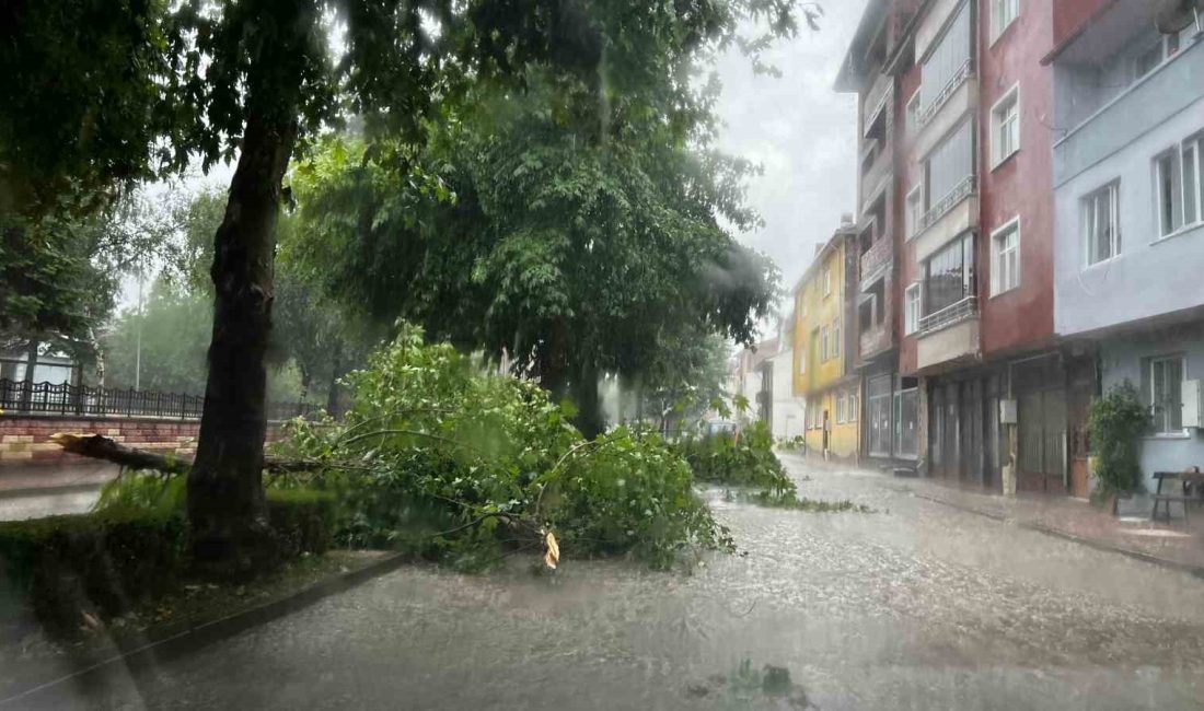 KASTAMONU'NUN TAŞKÖPRÜ VE SEYDİLER İLÇESİNDE KUVVETLİ SAĞANAK YAĞIŞ SEBEBİYLE CADDE