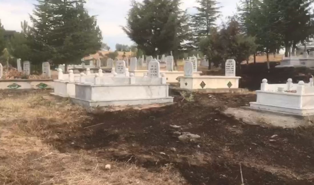 KASTAMONU'NUN TAŞKÖPRÜ İLÇESİNDE MEZARLIKTA ÇIKAN YANGIN, ORMANLIK ALANA SIÇRAMADAN KONTROL