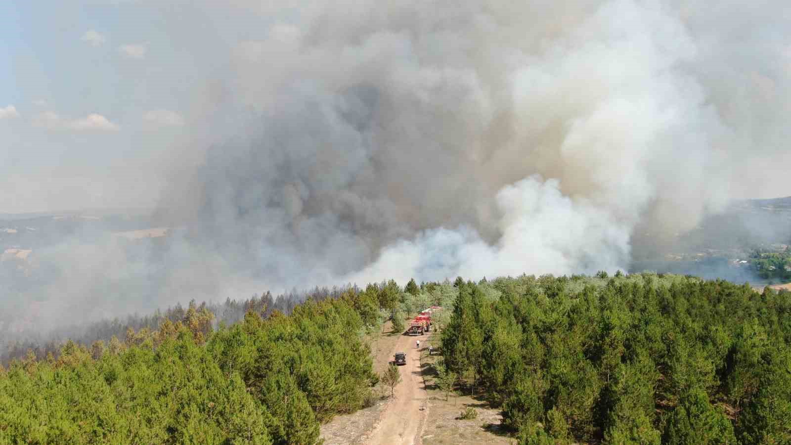 KASTAMONU'DA ÇIKAN ORMAN YANGININA MÜDAHALE HAVADAN VE KARADAN DEVAM EDİYOR.